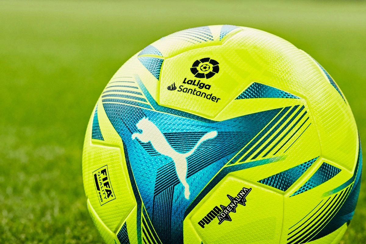 理与激励条 理与激励条